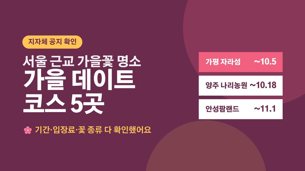 서울 근교 가을꽃 명소 5곳 — 가을맞이 데이트 코스 총정리 가을꽃 대표