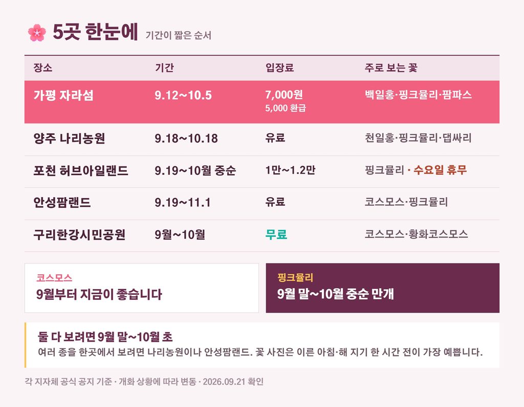 서울 근교 가을꽃 명소 5곳 — 가을맞이 데이트 코스 총정리 가을꽃 중반