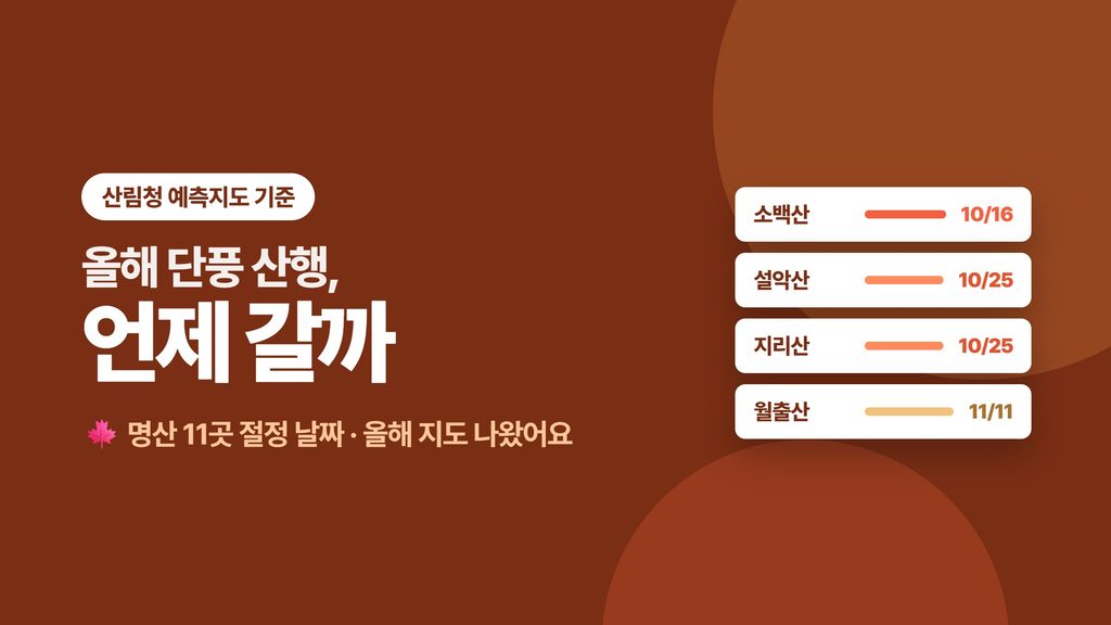 단풍 대표