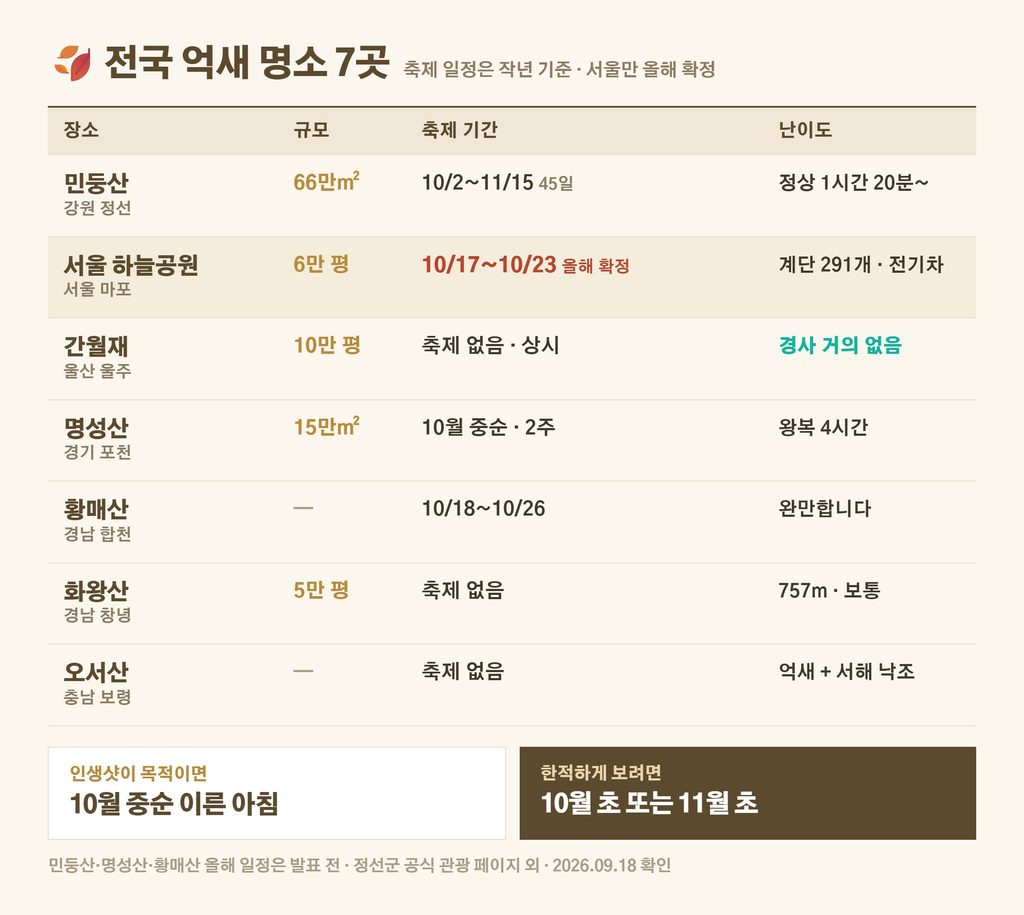 억새 중반